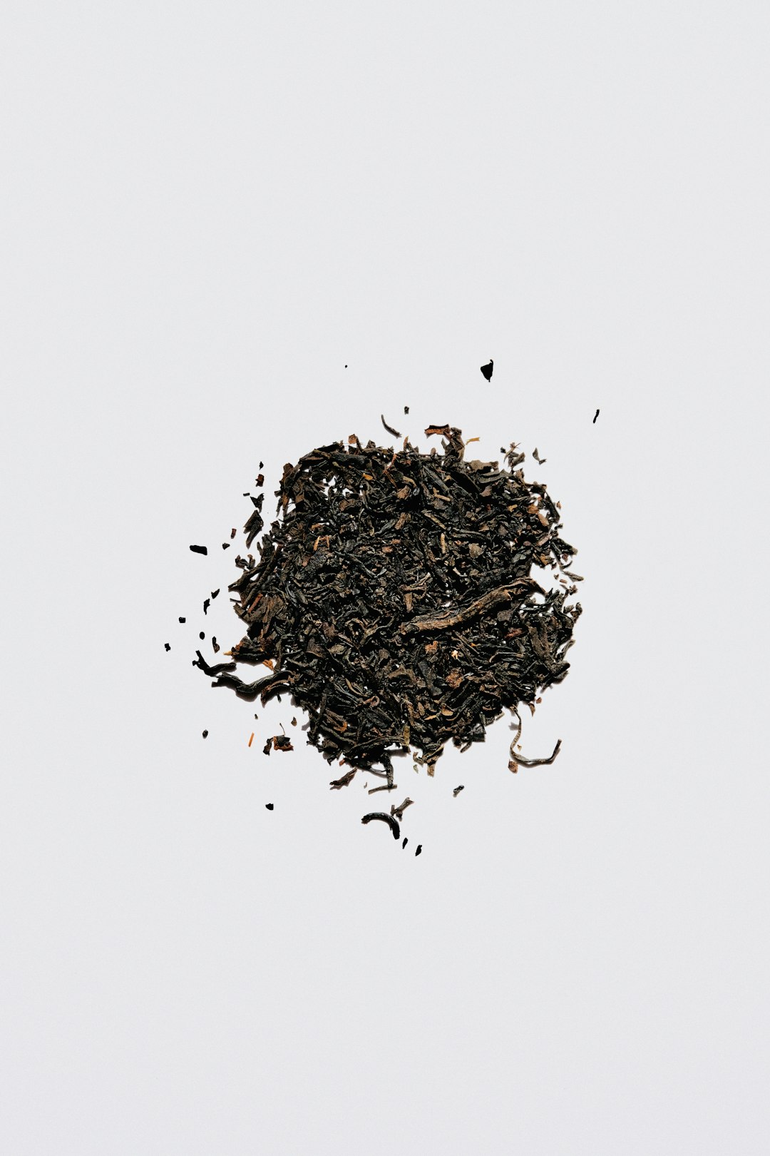 brown dried leaves on white surface